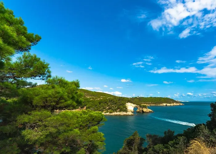 فندق مبيت وإفطار Uliveto Del Gargano 4*