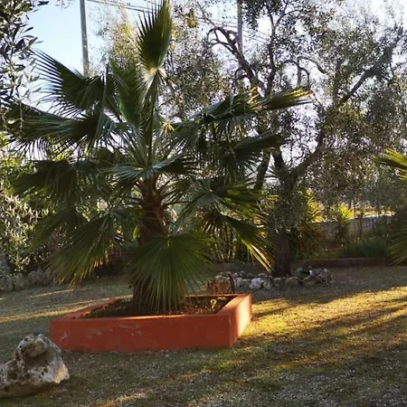 Uliveto Del Gargano Frühstückspension