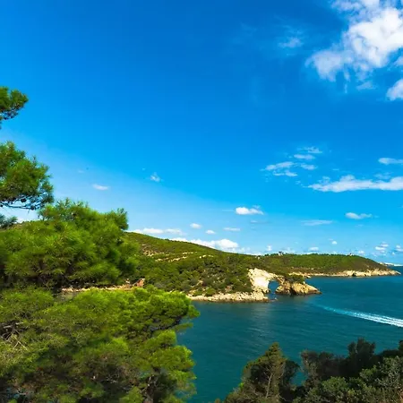 Frühstückspension Uliveto Del Gargano 3*
