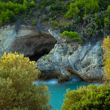 Uliveto Del Gargano Vieste